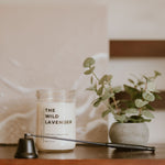 Load image into Gallery viewer, mason jar candle with snuffer in front and small plant beside
